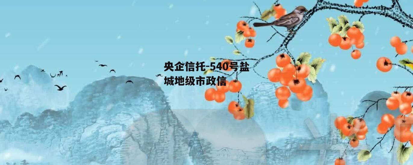 央企信托-540号盐城地级市政信