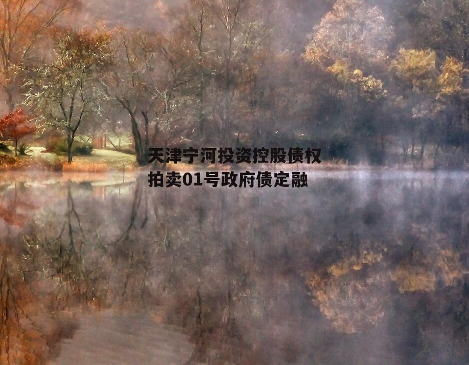 天津宁河投资控股债权拍卖01号政府债定融