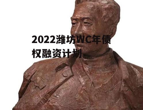 2022潍坊WC年债权融资计划