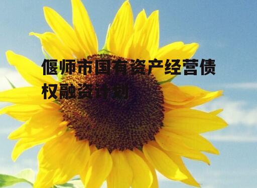 偃师市国有资产经营债权融资计划