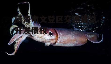 威海市文登区交通建设开发债权
