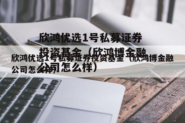 欣鸿优选1号私募证券投资基金（欣鸿博金融公司怎么样）