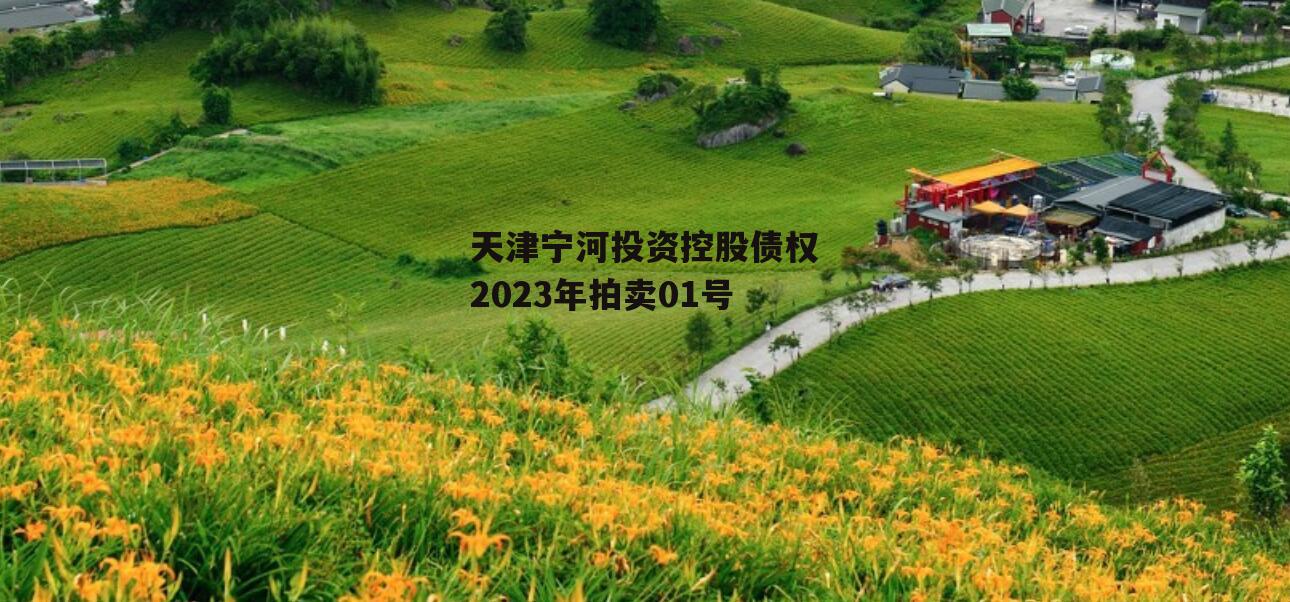 天津宁河投资控股债权2023年拍卖01号