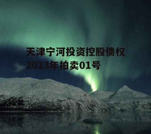 天津宁河投资控股债权2023年拍卖01号