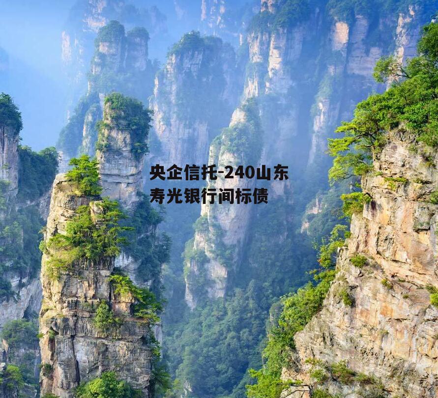央企信托-240山东寿光银行间标债