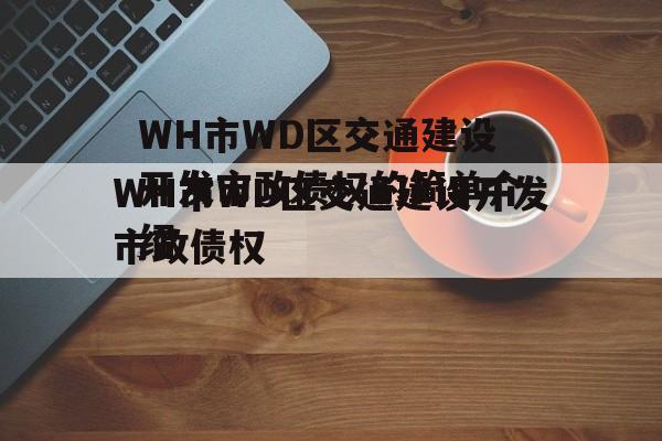 WH市WD区交通建设开发市政债权的简单介绍