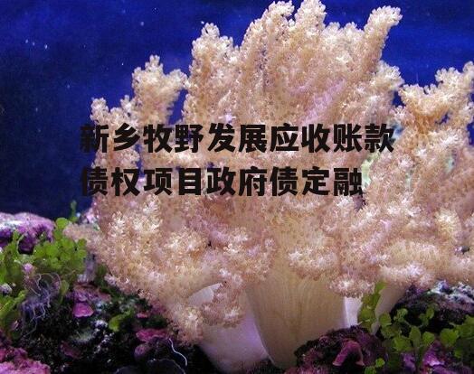 新乡牧野发展应收账款债权项目政府债定融