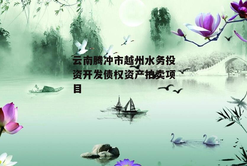 云南腾冲市越州水务投资开发债权资产拍卖项目