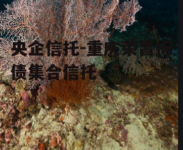 央企信托-重庆荣昌标债集合信托