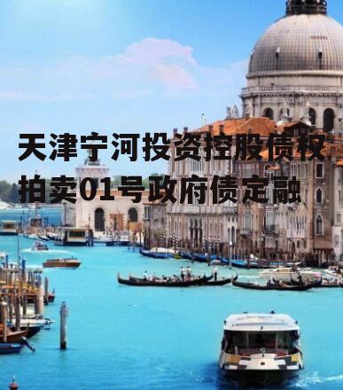 天津宁河投资控股债权拍卖01号政府债定融