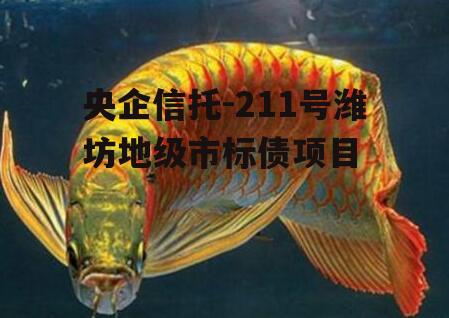 央企信托-211号潍坊地级市标债项目