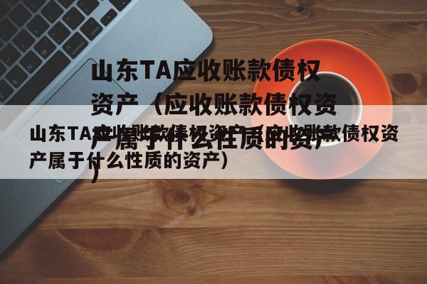 山东TA应收账款债权资产（应收账款债权资产属于什么性质的资产）