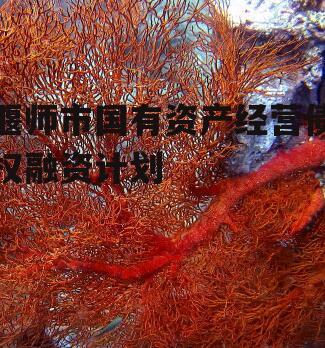 偃师市国有资产经营债权融资计划