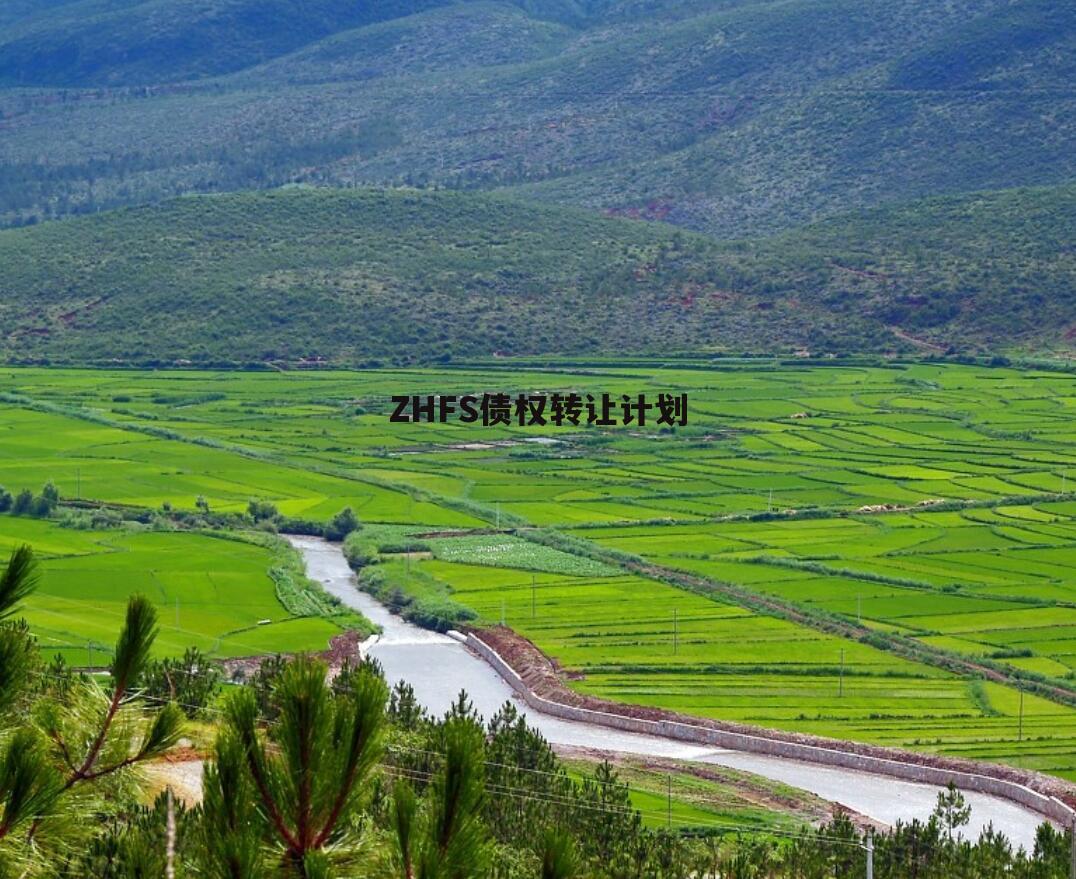 ZHFS债权转让计划