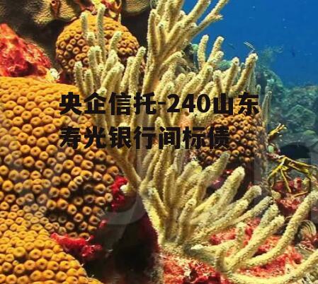 央企信托-240山东寿光银行间标债