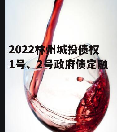 2022林州城投债权1号、2号政府债定融
