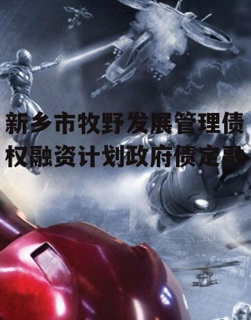 新乡市牧野发展管理债权融资计划政府债定融