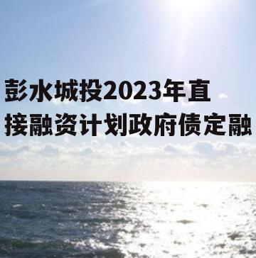 彭水城投2023年直接融资计划政府债定融