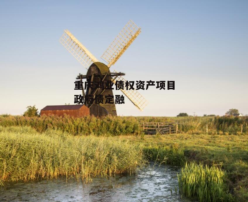 重庆鸿业债权资产项目政府债定融