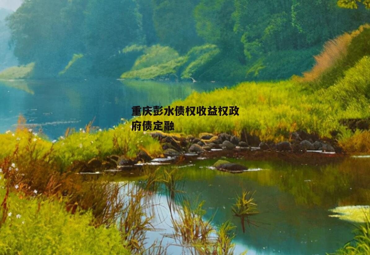 重庆彭水债权收益权政府债定融