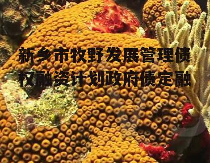新乡市牧野发展管理债权融资计划政府债定融