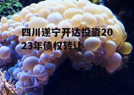 四川遂宁开达投资2023年债权转让