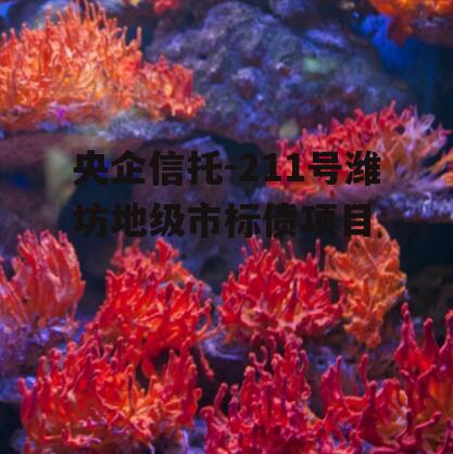 央企信托-211号潍坊地级市标债项目
