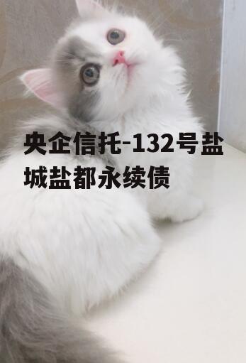 央企信托-132号盐城盐都永续债