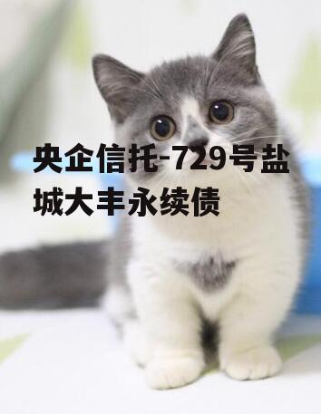 央企信托-729号盐城大丰永续债