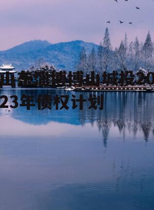 山东淄博博山城投2023年债权计划