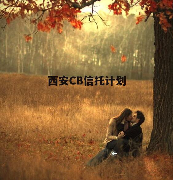 西安CB信托计划