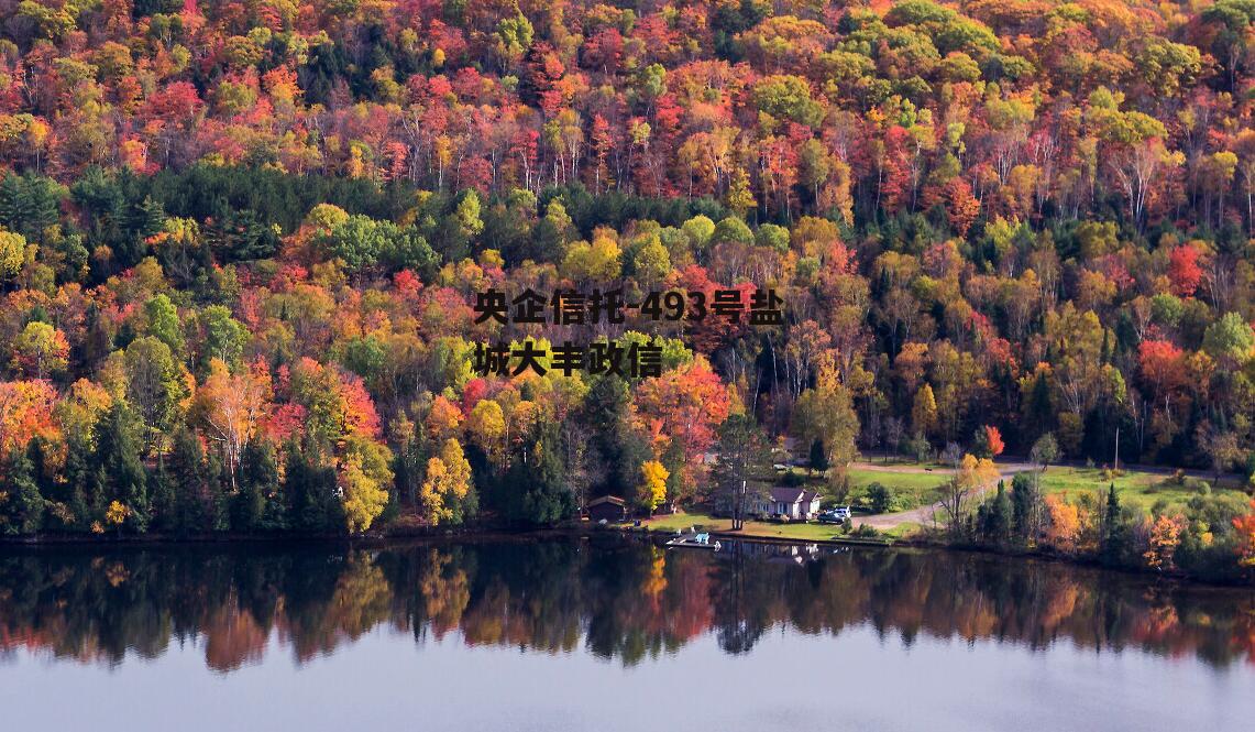 央企信托-493号盐城大丰政信