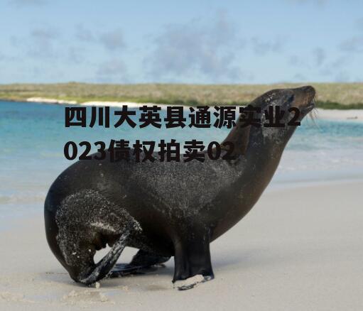 四川大英县通源实业2023债权拍卖02