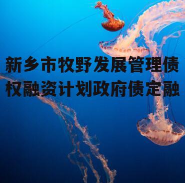 新乡市牧野发展管理债权融资计划政府债定融