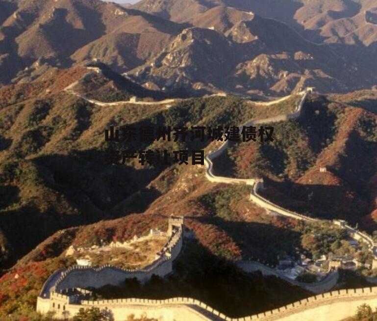 山东德州齐河城建债权资产转让项目
