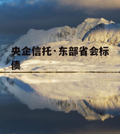 央企信托·东部省会标债