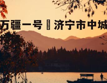 万疆一号•济宁市中城投债