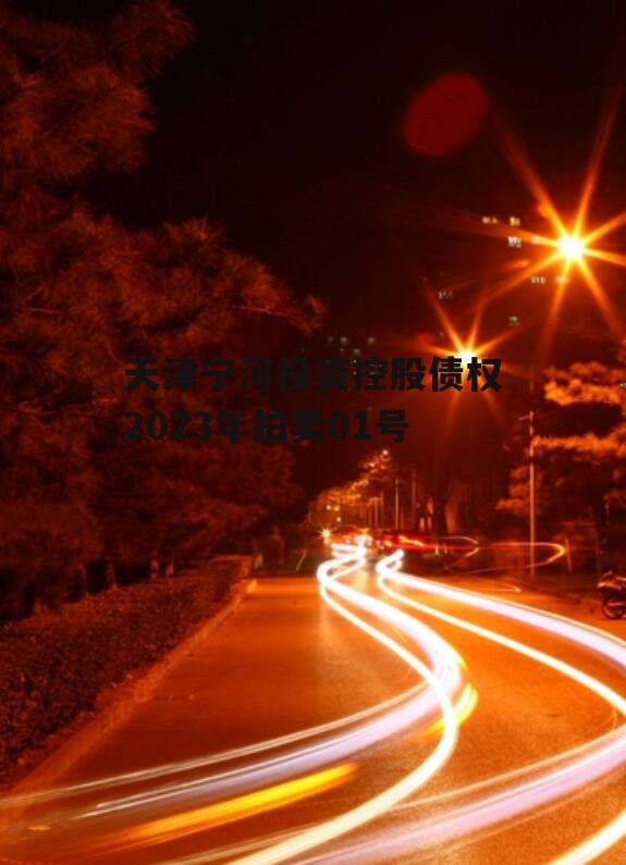 天津宁河投资控股债权2023年拍卖01号