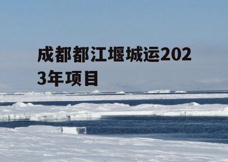 成都都江堰城运2023年项目