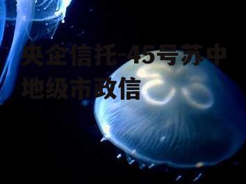 央企信托-45号苏中地级市政信