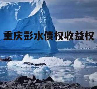 重庆彭水债权收益权