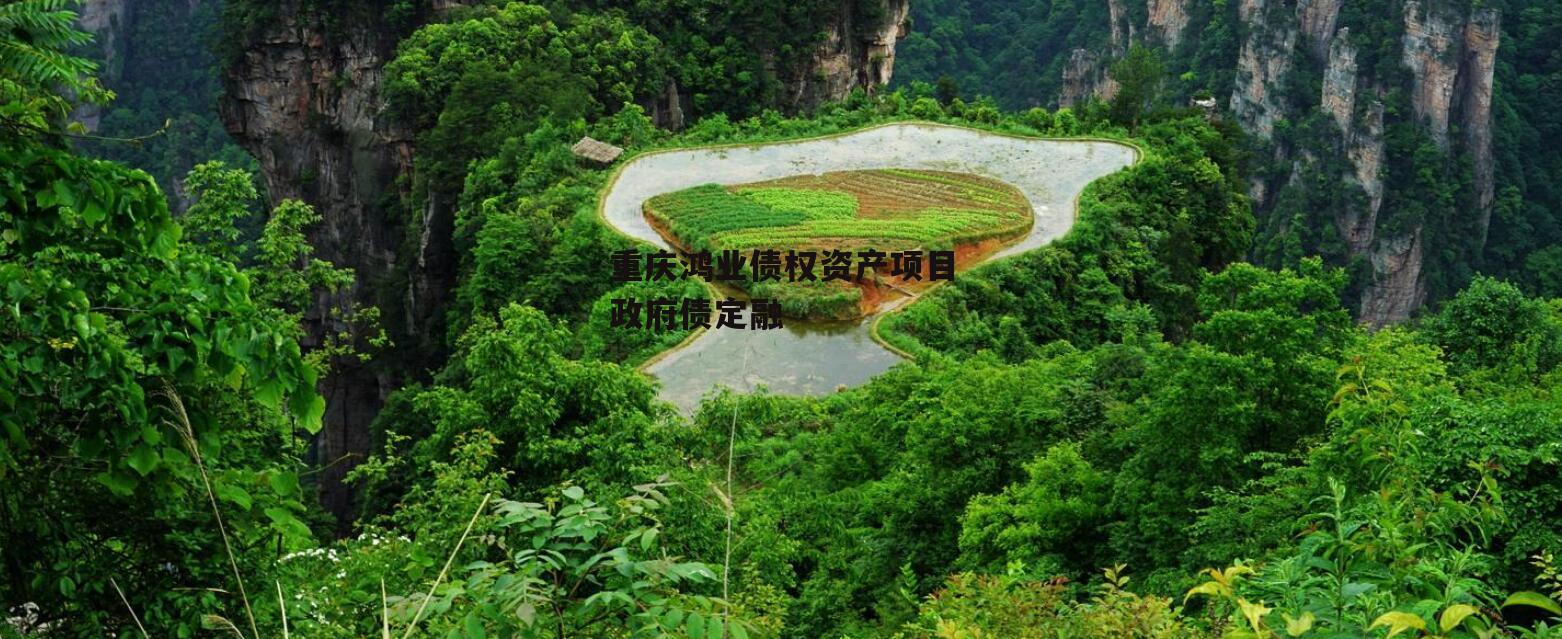 重庆鸿业债权资产项目政府债定融