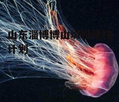 山东淄博博山城投债权计划