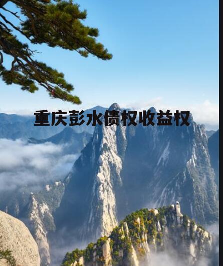 重庆彭水债权收益权