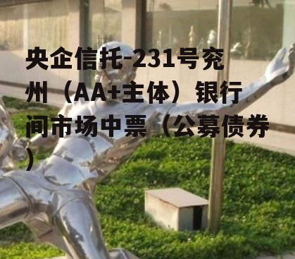 央企信托-231号兖州（AA+主体）银行间市场中票（公募债券）