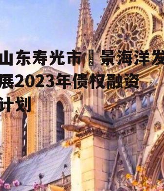 山东寿光市昇景海洋发展2023年债权融资计划