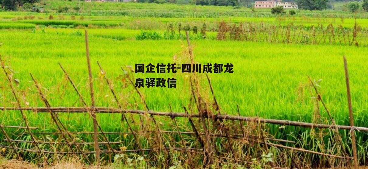国企信托-四川成都龙泉驿政信