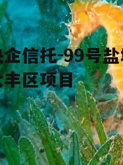 央企信托-99号盐城大丰区项目