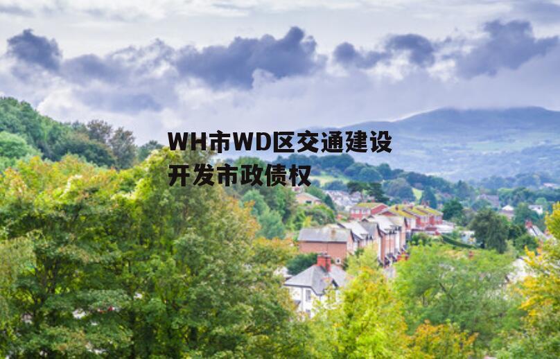 WH市WD区交通建设开发市政债权