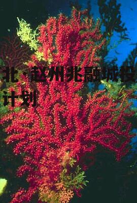 河北·赵州兆融城投债权计划